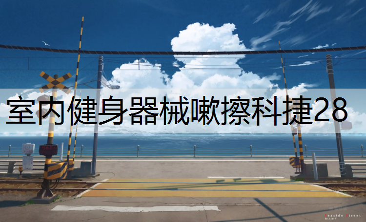<strong>室内健身器械嗽擦科捷28</strong>