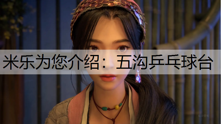 <strong>米乐为您介绍：五沟乒乓球台</strong>