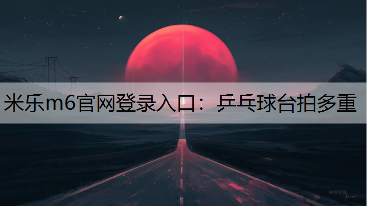 乒乓球台拍多重