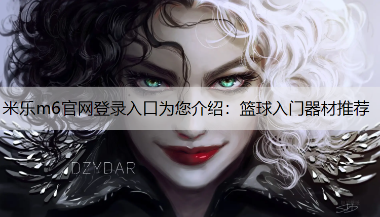 篮球入门器材推荐