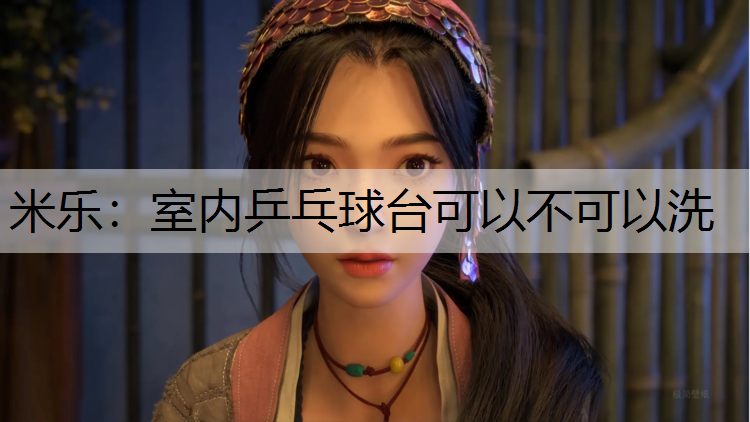 室内乒乓球台可以不可以洗