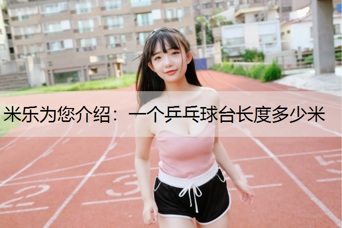 一个乒乓球台长度多少米